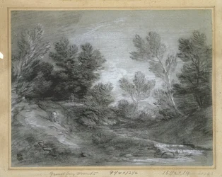 Un ruisseau forestier